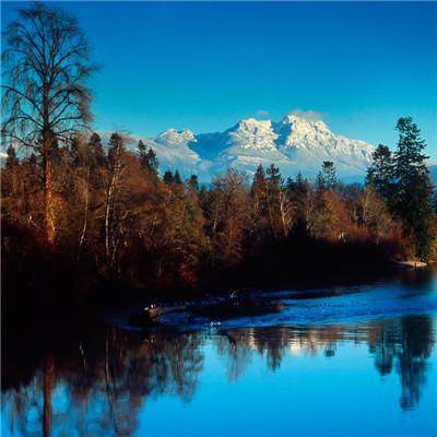 亡灵杀手破解版无限玉