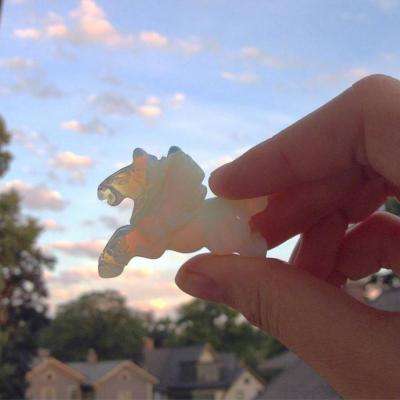 so米体育 正版手游app so米体育 正版手游app